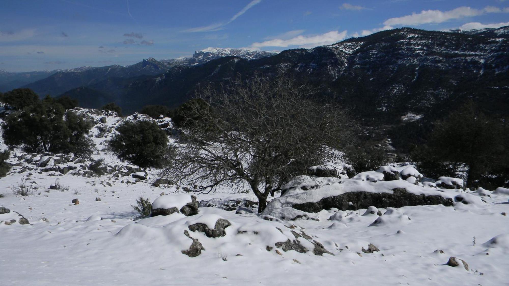 Casa Rural Fuente Zagrilla Esterno foto